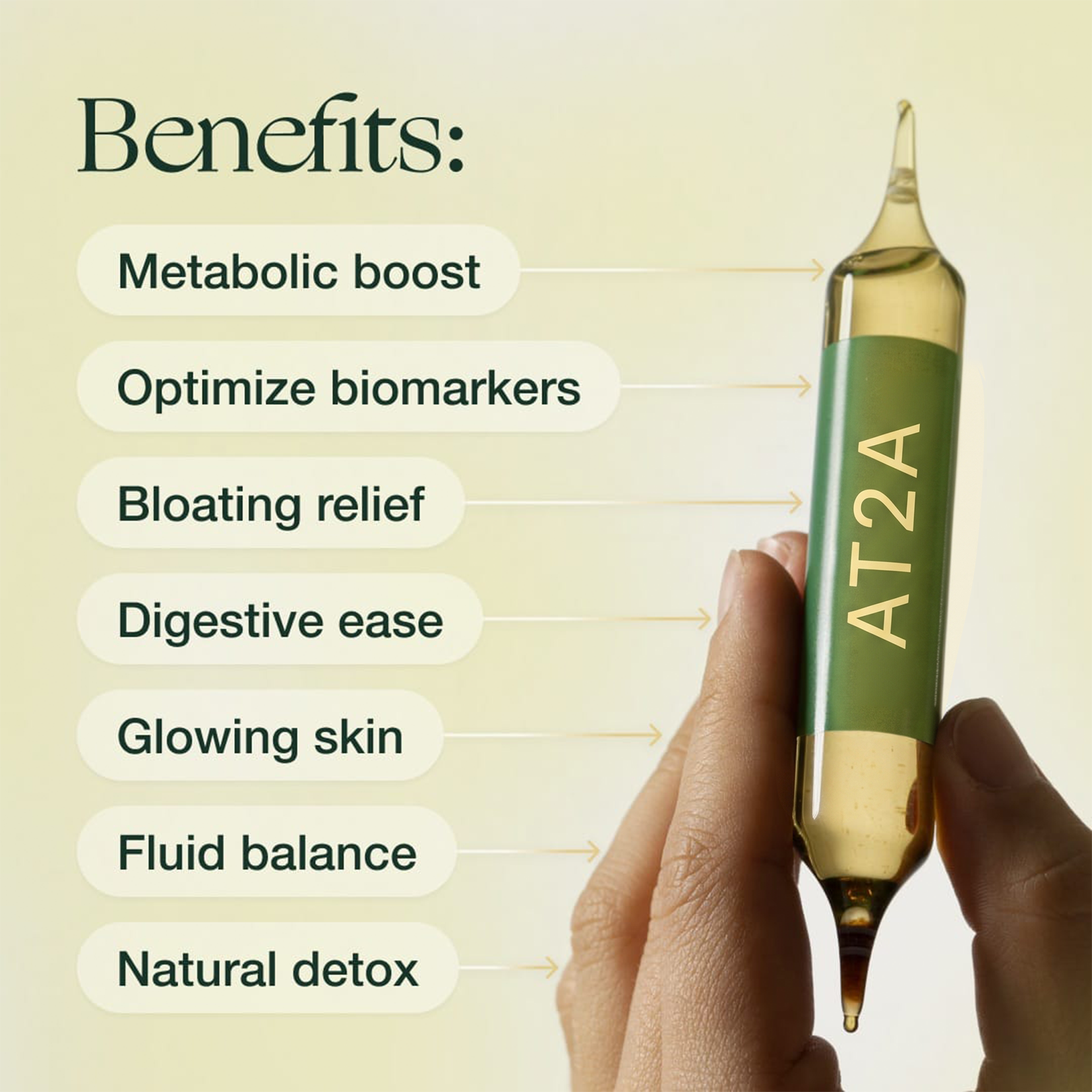 AT2A Belly Fat Protocol